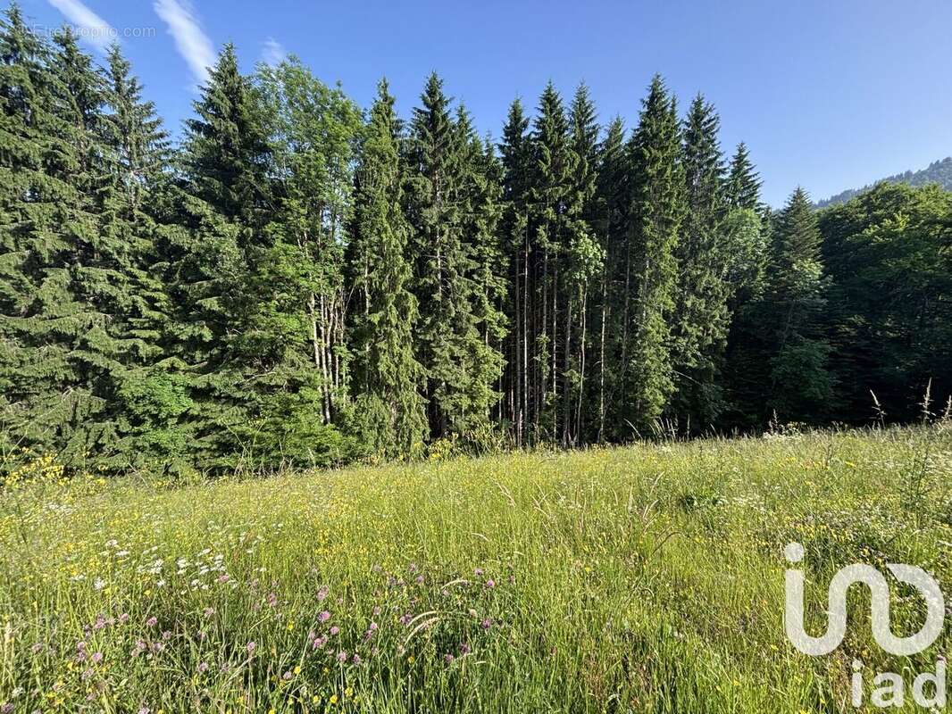 Photo 2 - Terrain à LA COTE-D&#039;ARBROZ