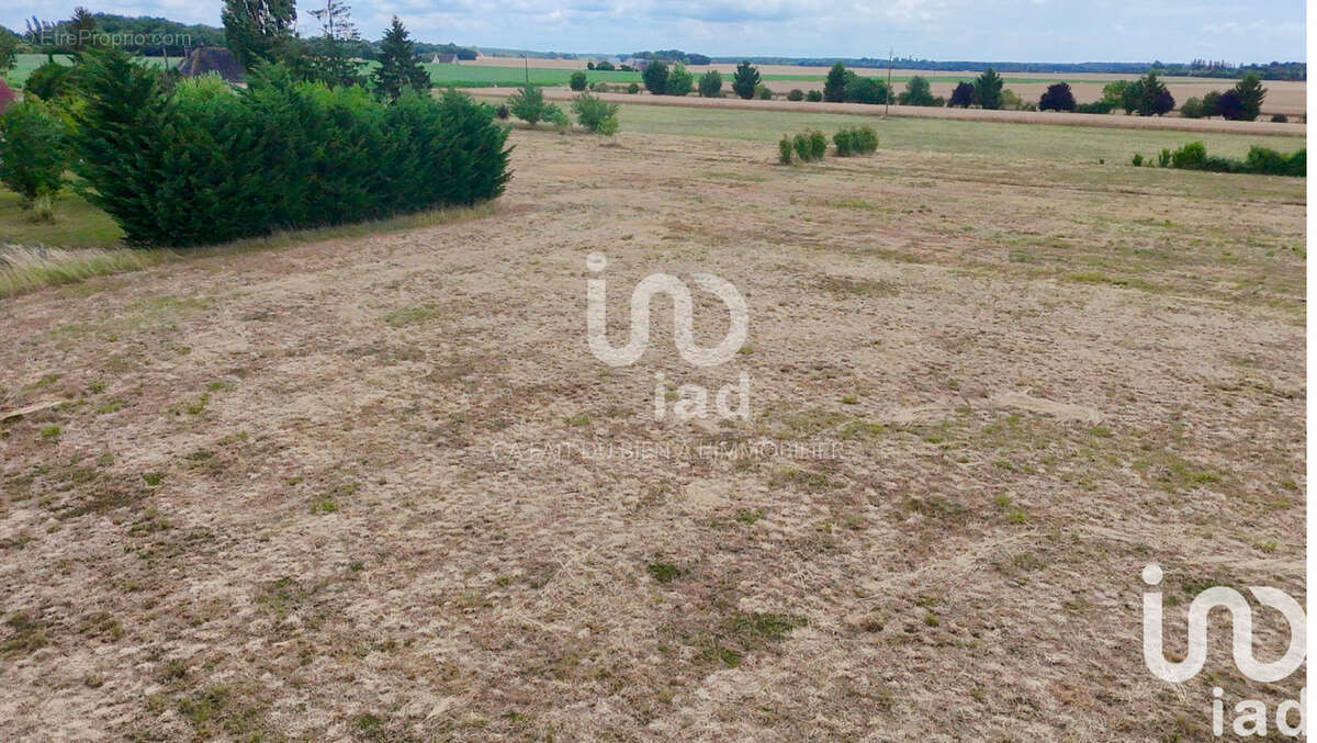 Photo 2 - Terrain à LA CHAPELLE-SUR-AVEYRON