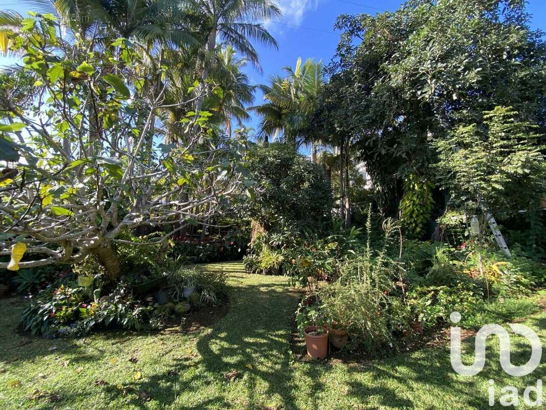 Photo 3 - Maison à SAINT-PIERRE