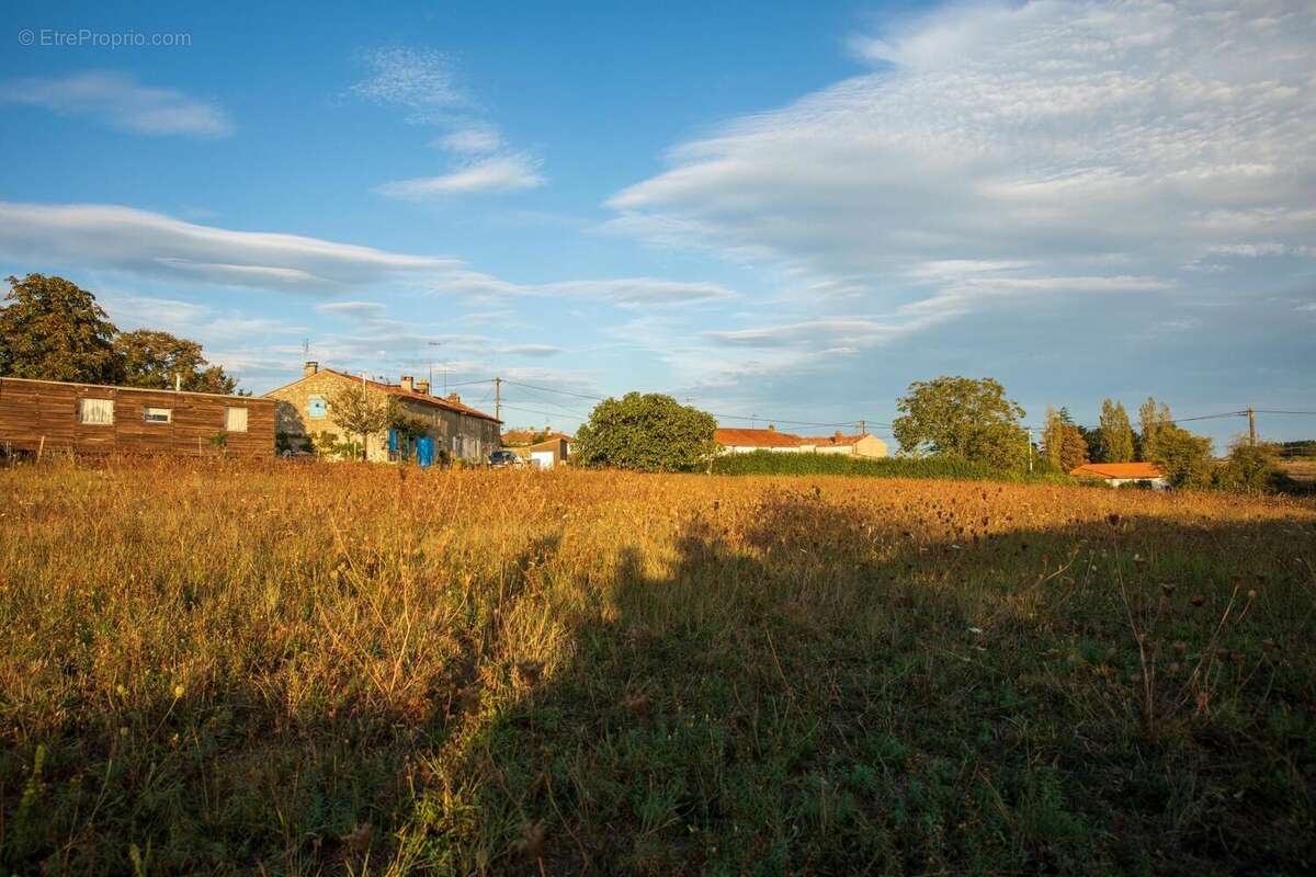 Photo 3 - Terrain à SAINT-MICHEL-LE-CLOUCQ