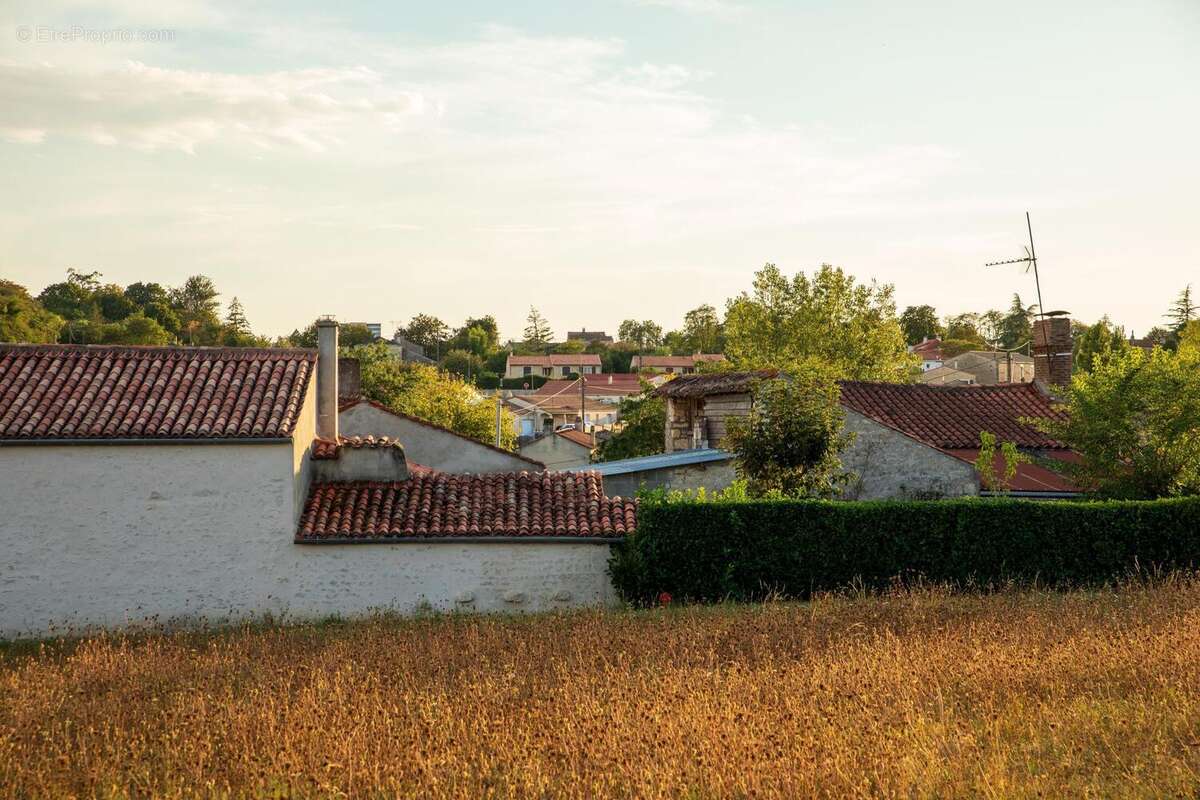Photo 4 - Terrain à SAINT-MICHEL-LE-CLOUCQ