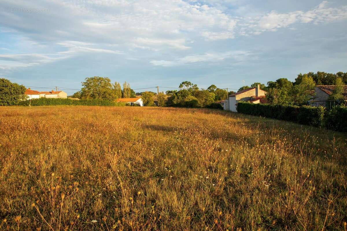 Photo 5 - Terrain à SAINT-MICHEL-LE-CLOUCQ