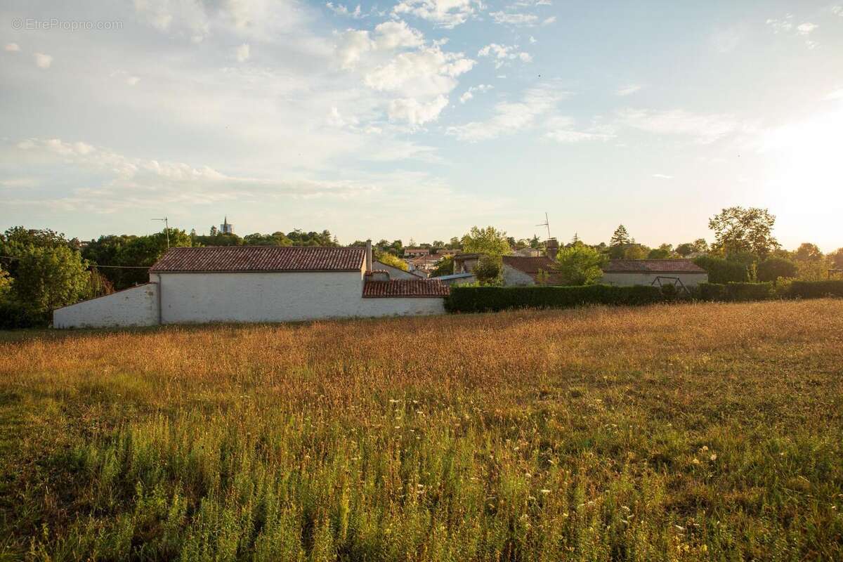 Photo 6 - Terrain à SAINT-MICHEL-LE-CLOUCQ