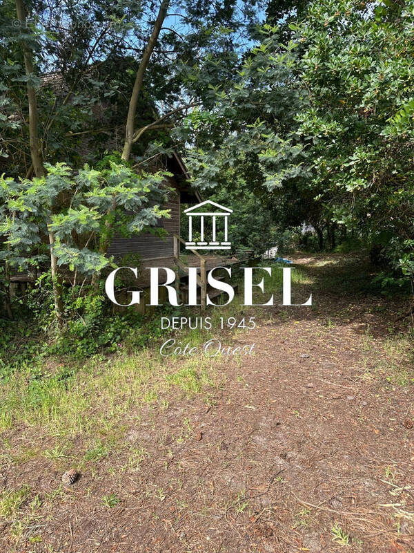 Terrain à LEGE-CAP-FERRET