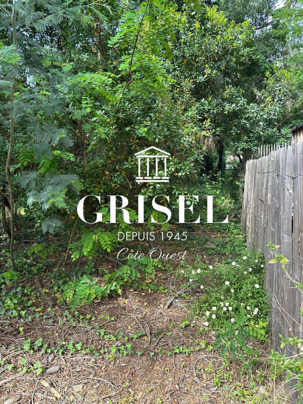 Terrain à LEGE-CAP-FERRET