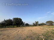 Terrain à TRESSERRE