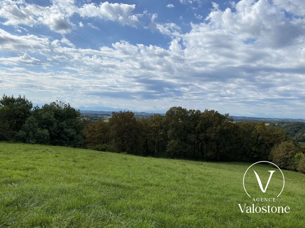 Maison à ARZACQ-ARRAZIGUET