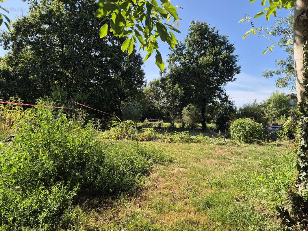 Terrain à GROSBREUIL