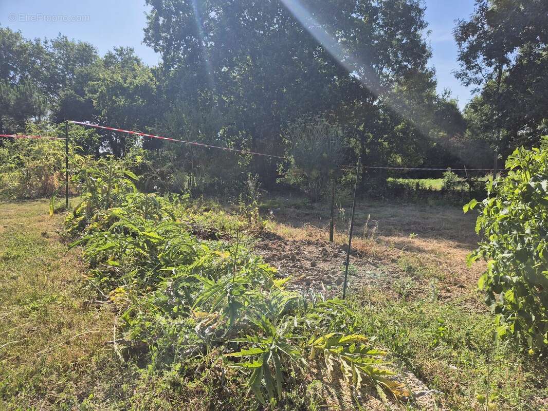 Terrain à GROSBREUIL