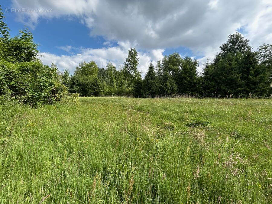 Terrain à SAINT-AMAND-LES-EAUX