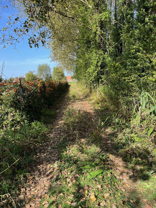 Terrain à SAINT-AMAND-LES-EAUX