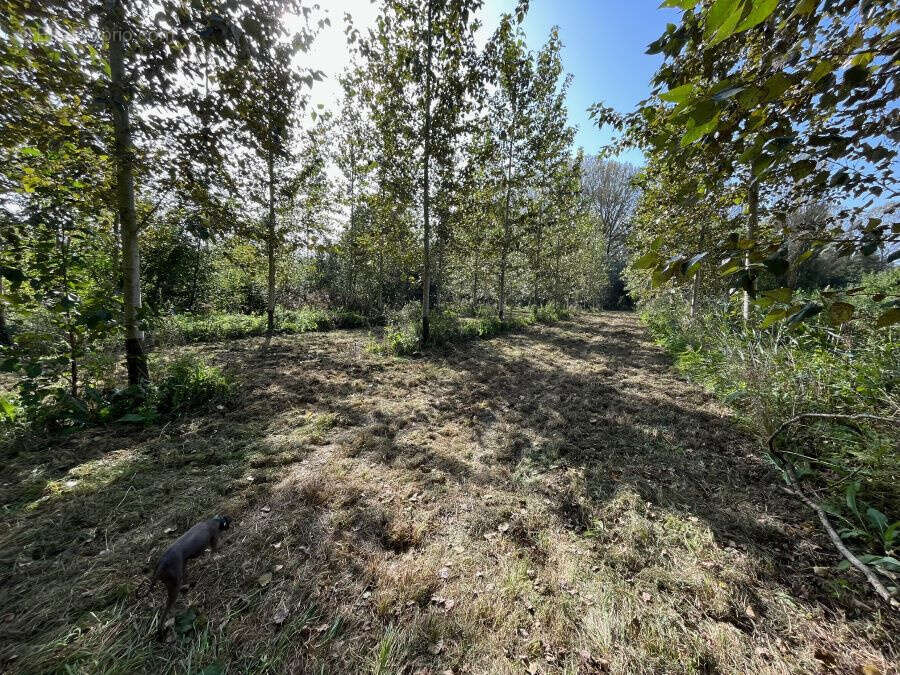 Terrain à SAINT-AMAND-LES-EAUX