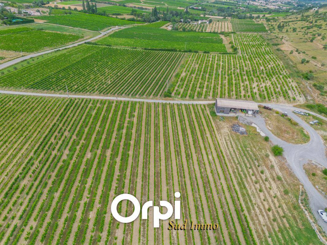 Maison à ALBA-LA-ROMAINE