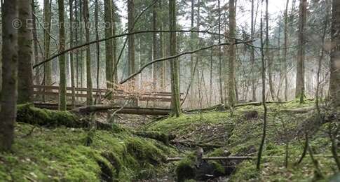 Appartement à HATTIGNY