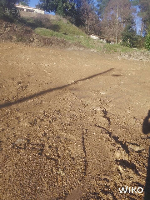 Terrain à CHAMBORIGAUD