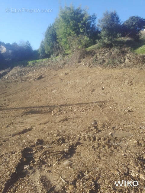 Terrain à CHAMBORIGAUD