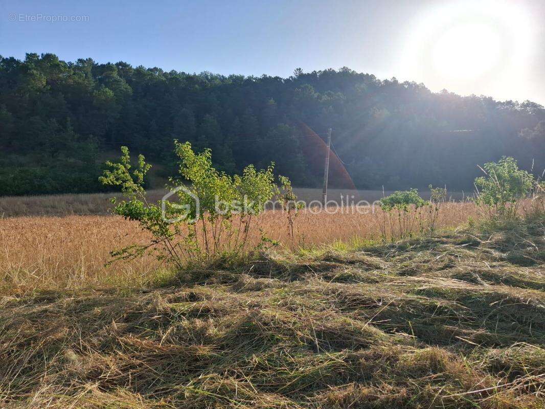 Terrain à BASSILLAC
