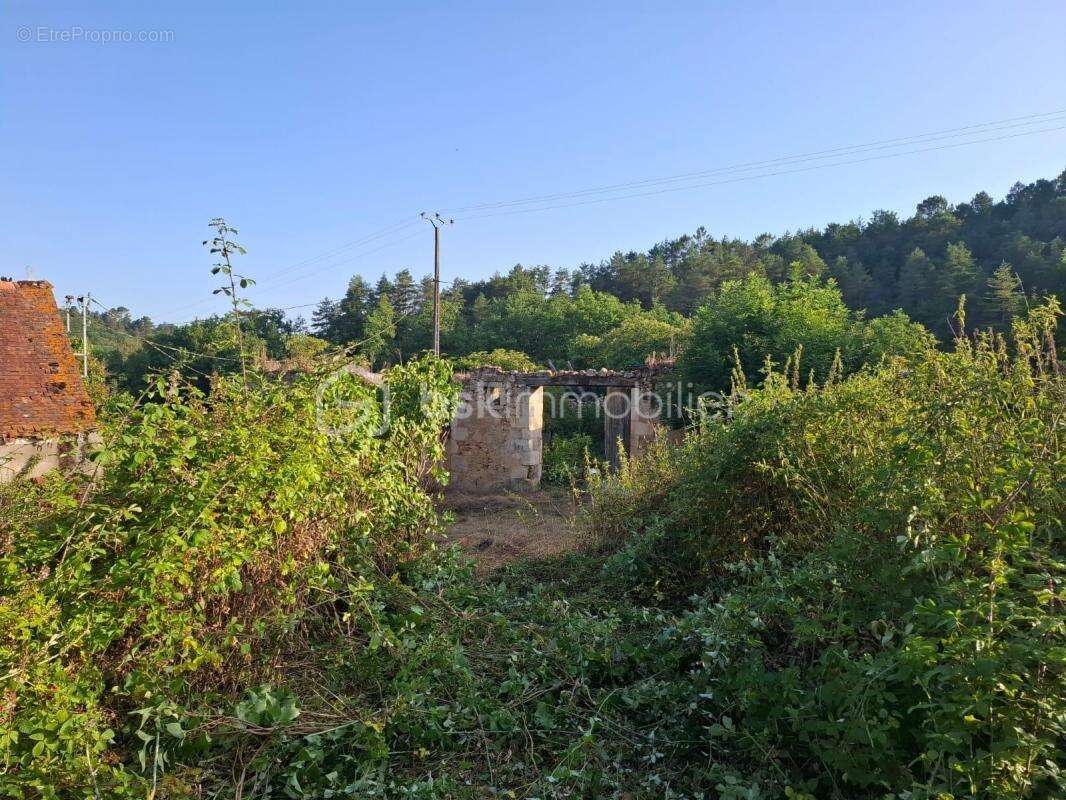 Terrain à BASSILLAC