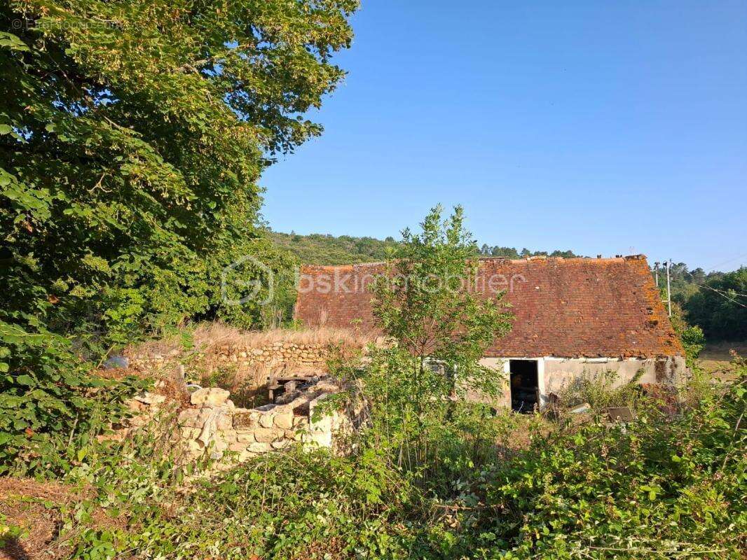 Terrain à BASSILLAC