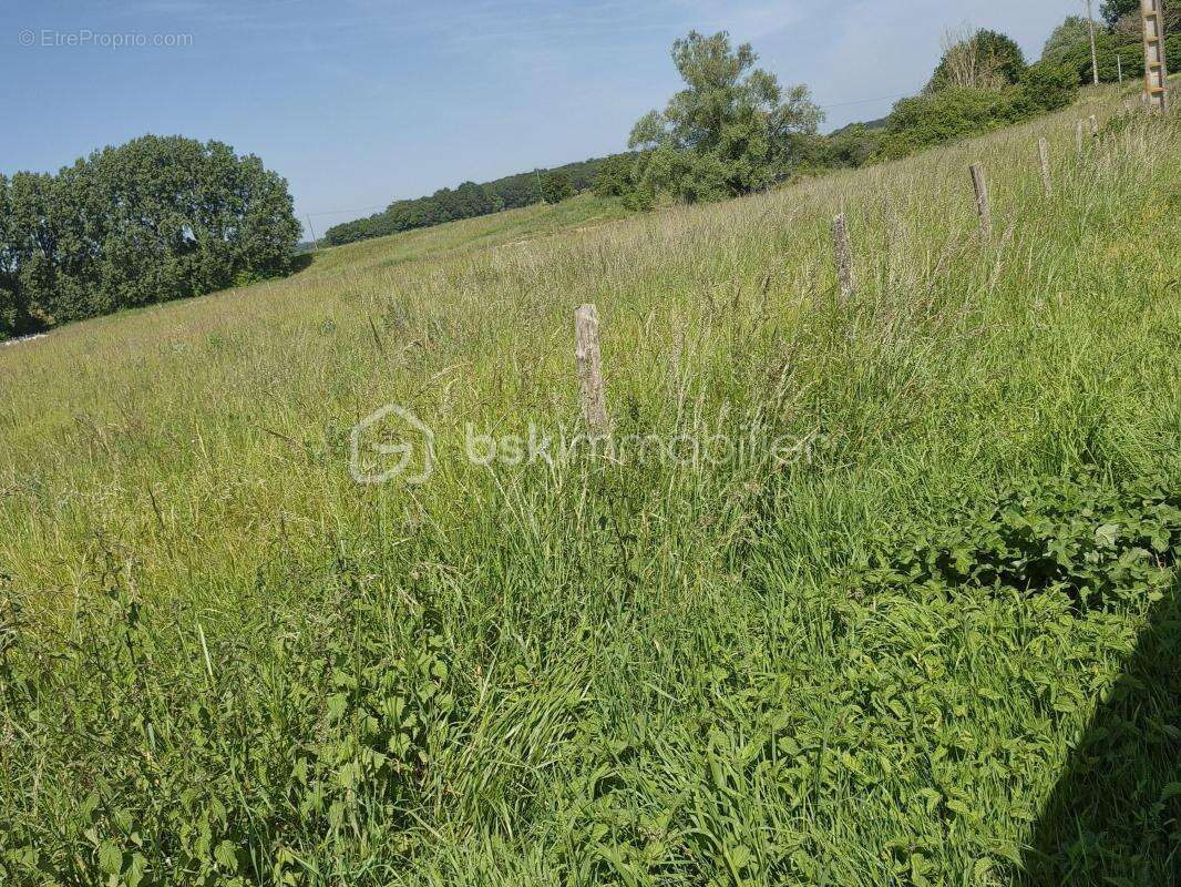 Maison à CHANNAY-SUR-LATHAN