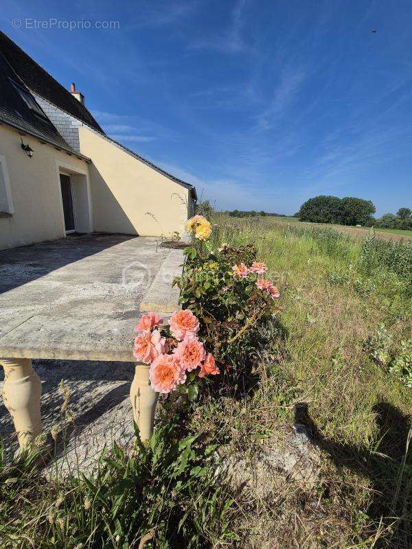 Maison à CHANNAY-SUR-LATHAN