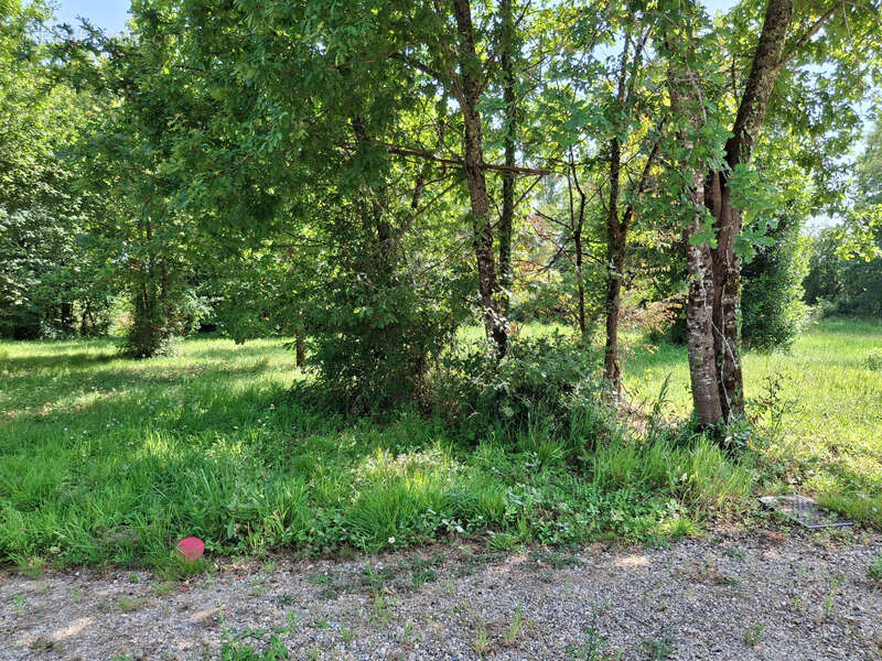 Terrain à CASTELJALOUX