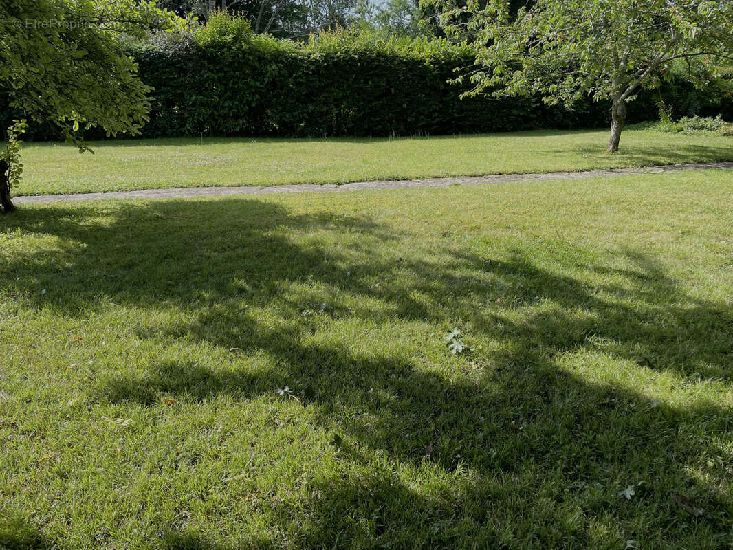 Terrain à SAINTE-GENEVIEVE