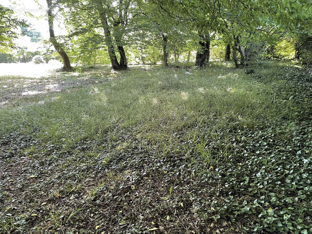 Terrain à SAINTE-GENEVIEVE