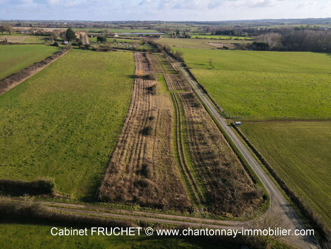 Maison à BAZOGES-EN-PAREDS
