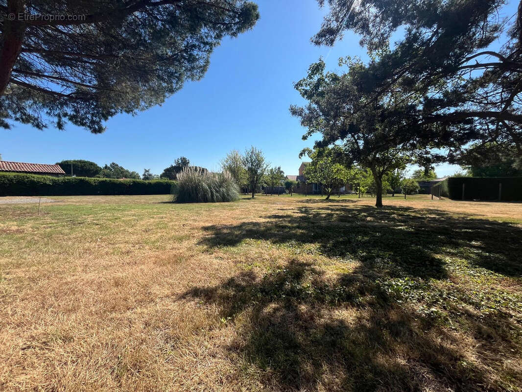 Terrain à LABARTHE-SUR-LEZE