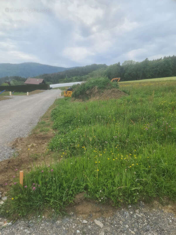 Terrain à BURDIGNIN