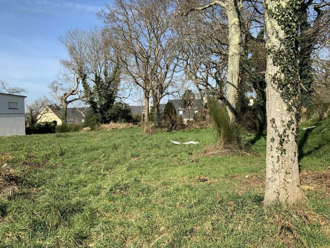 Terrain à CONCARNEAU