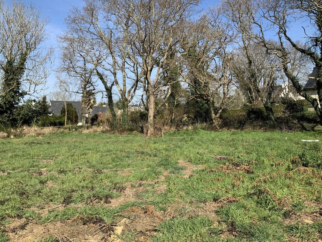 Terrain à CONCARNEAU