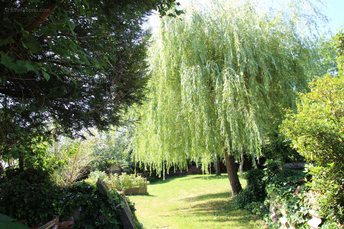 Maison à SALIGNY-SUR-ROUDON