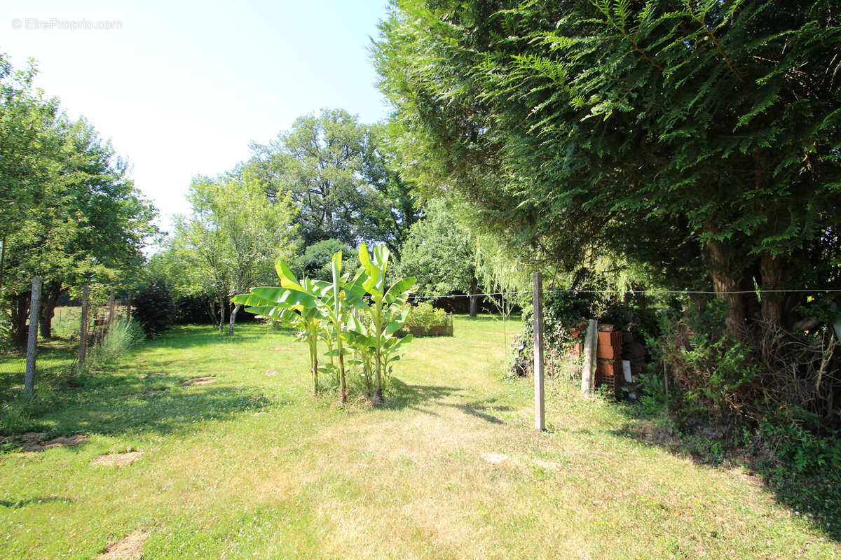 Maison à SALIGNY-SUR-ROUDON