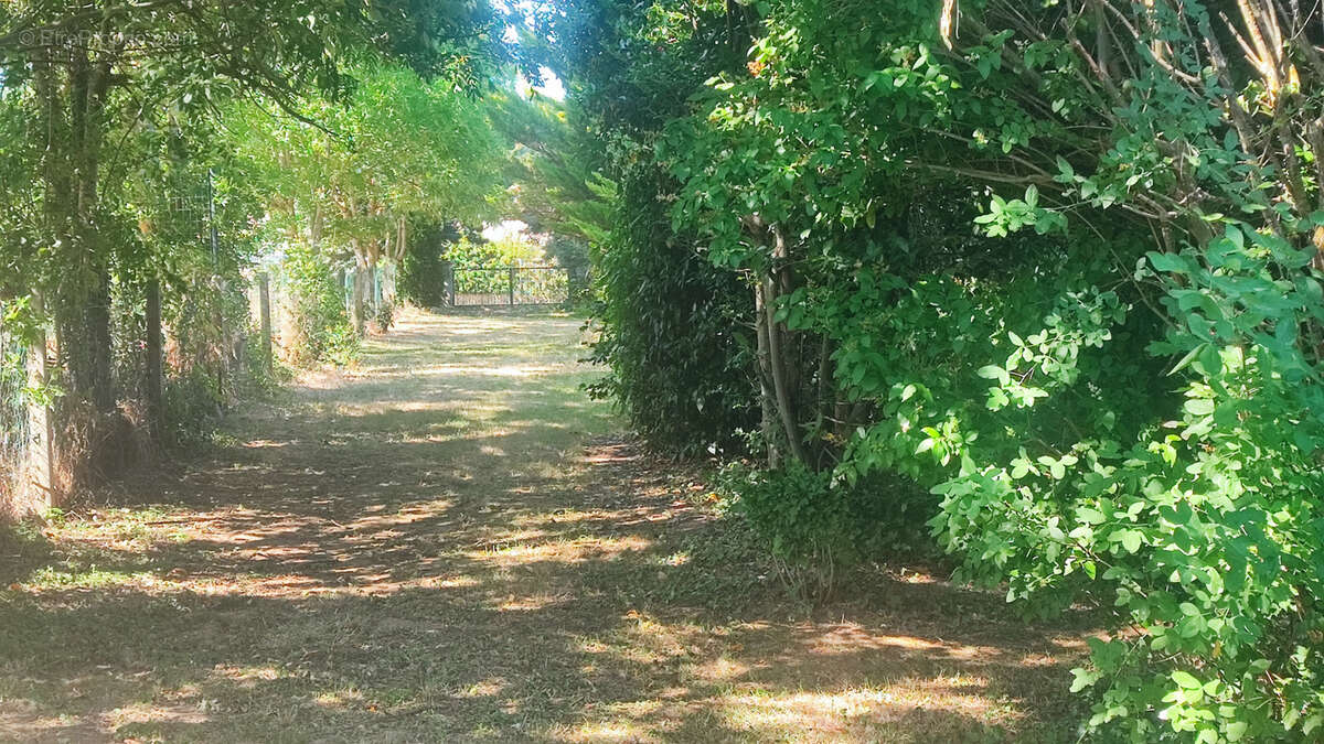 Terrain à ALBOUSSIERE