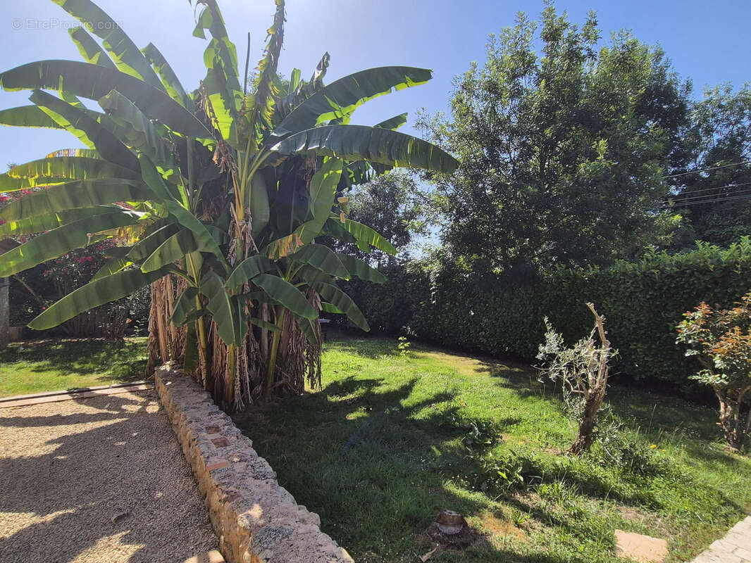 Maison à SAINT-EXUPERY