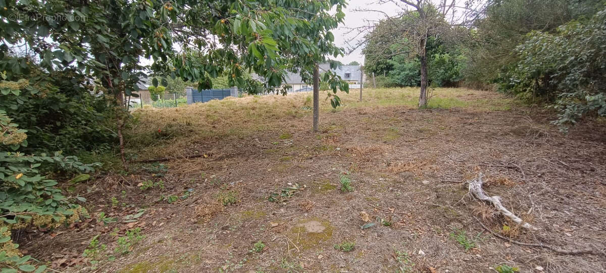 Terrain à PLANCOET
