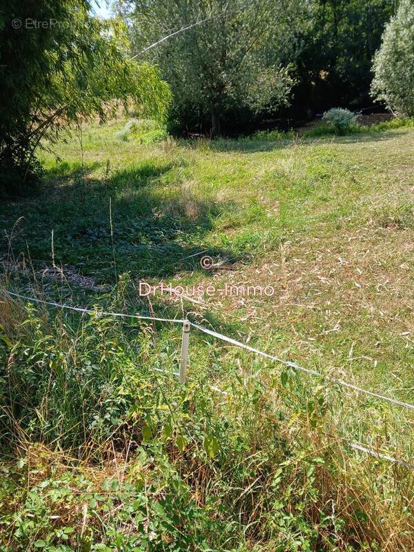 Terrain à SAINT-CYR-SUR-MENTHON