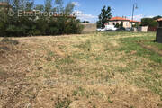 Terrain à NEFIACH