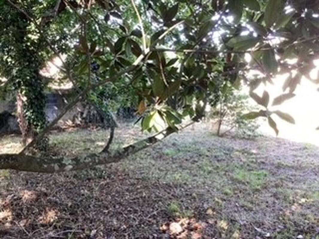 terrain 5 - Terrain à SAINT-MARTORY