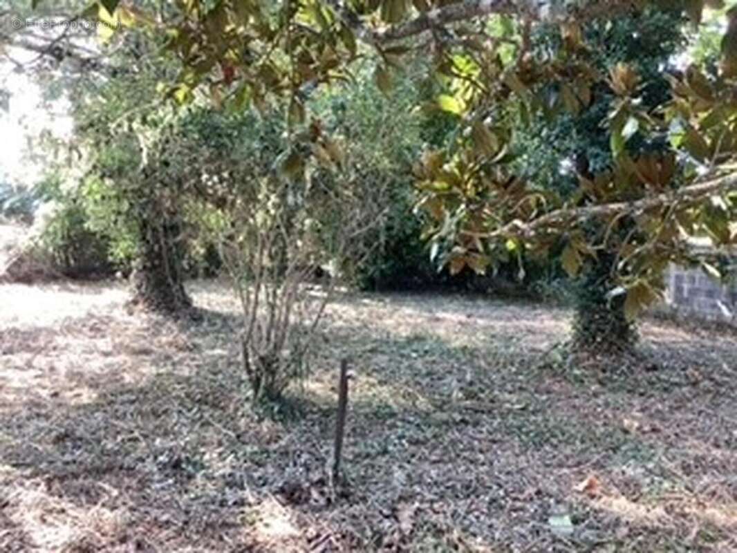 terrain2 - Terrain à SAINT-MARTORY