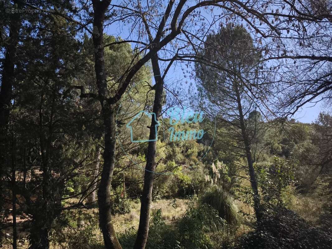 Terrain à SAINT-GELY-DU-FESC