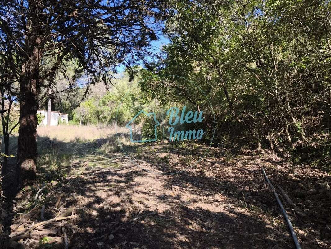 Terrain à SAINT-GELY-DU-FESC