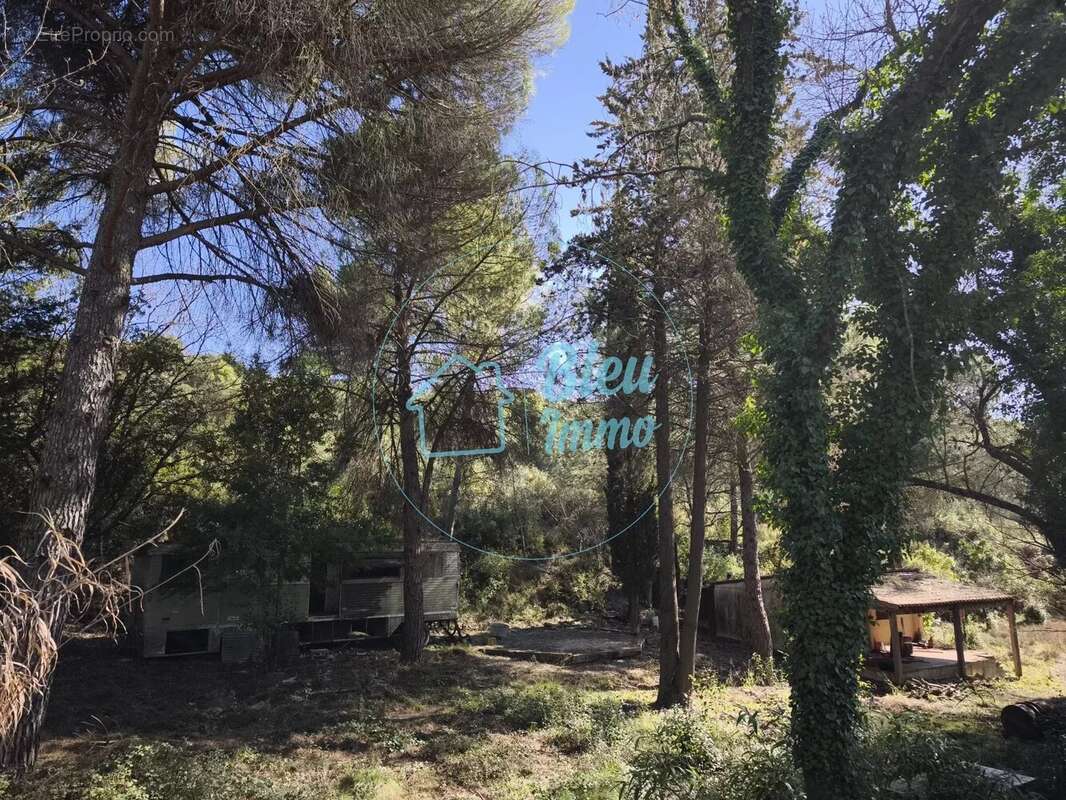 Terrain à SAINT-GELY-DU-FESC