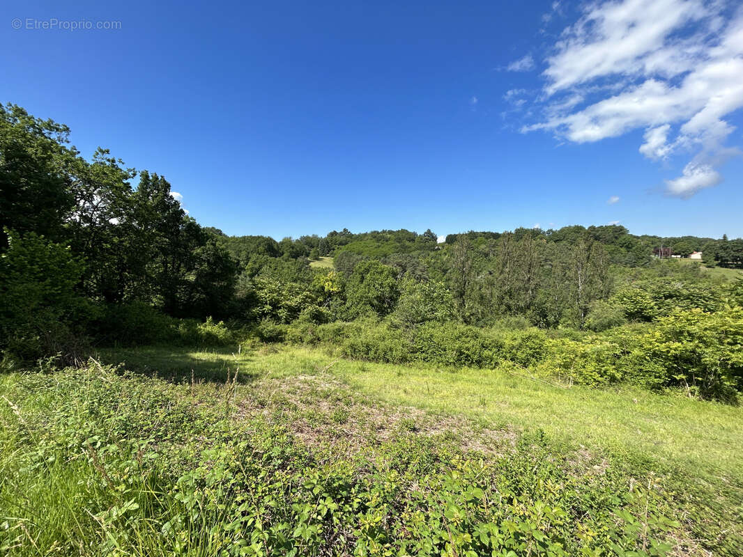 Terrain à COURSAC
