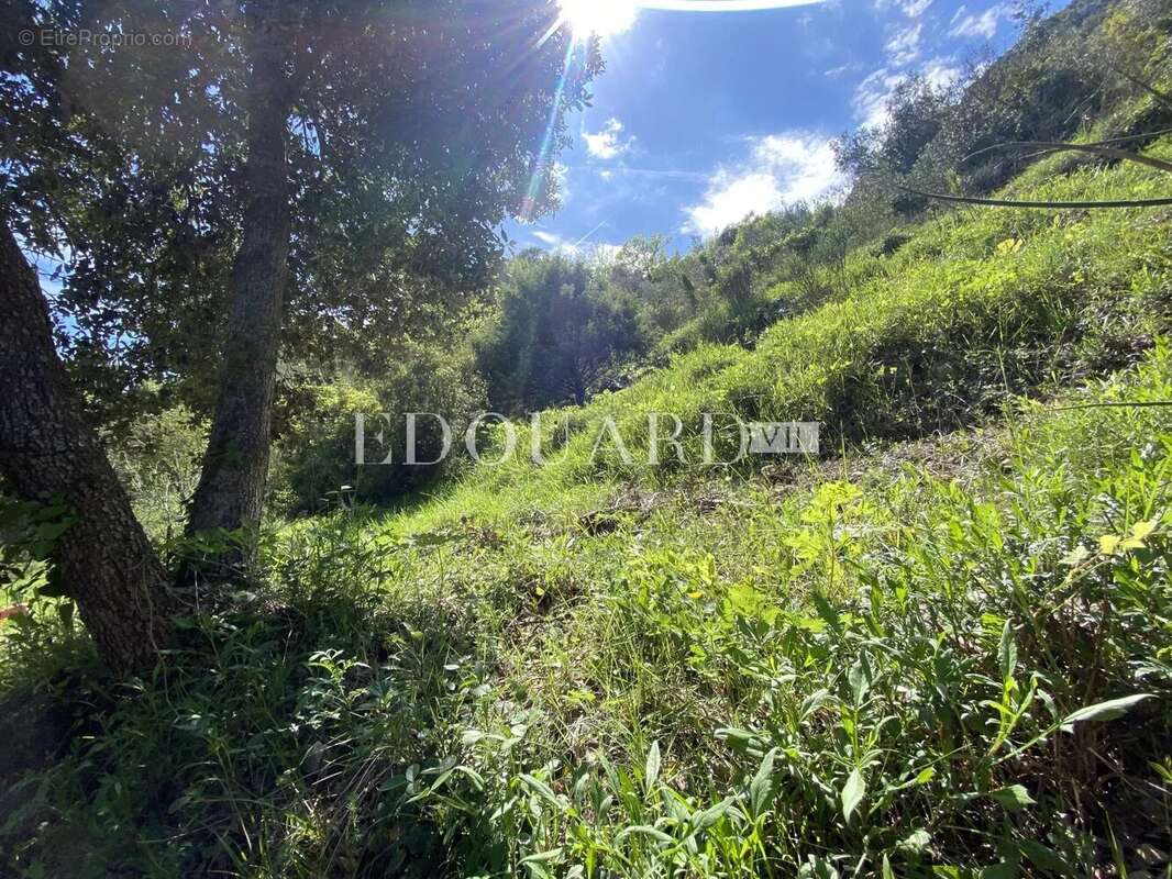 Terrain à SAINTE-AGNES