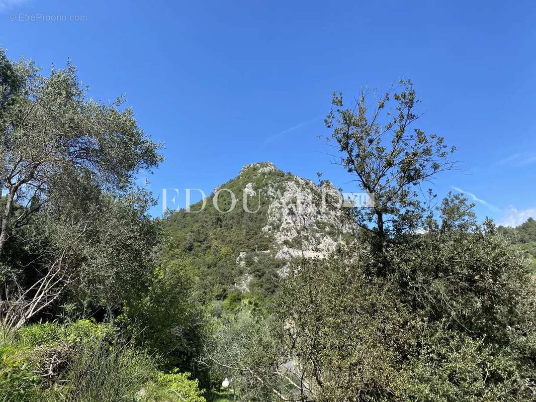 Terrain à SAINTE-AGNES