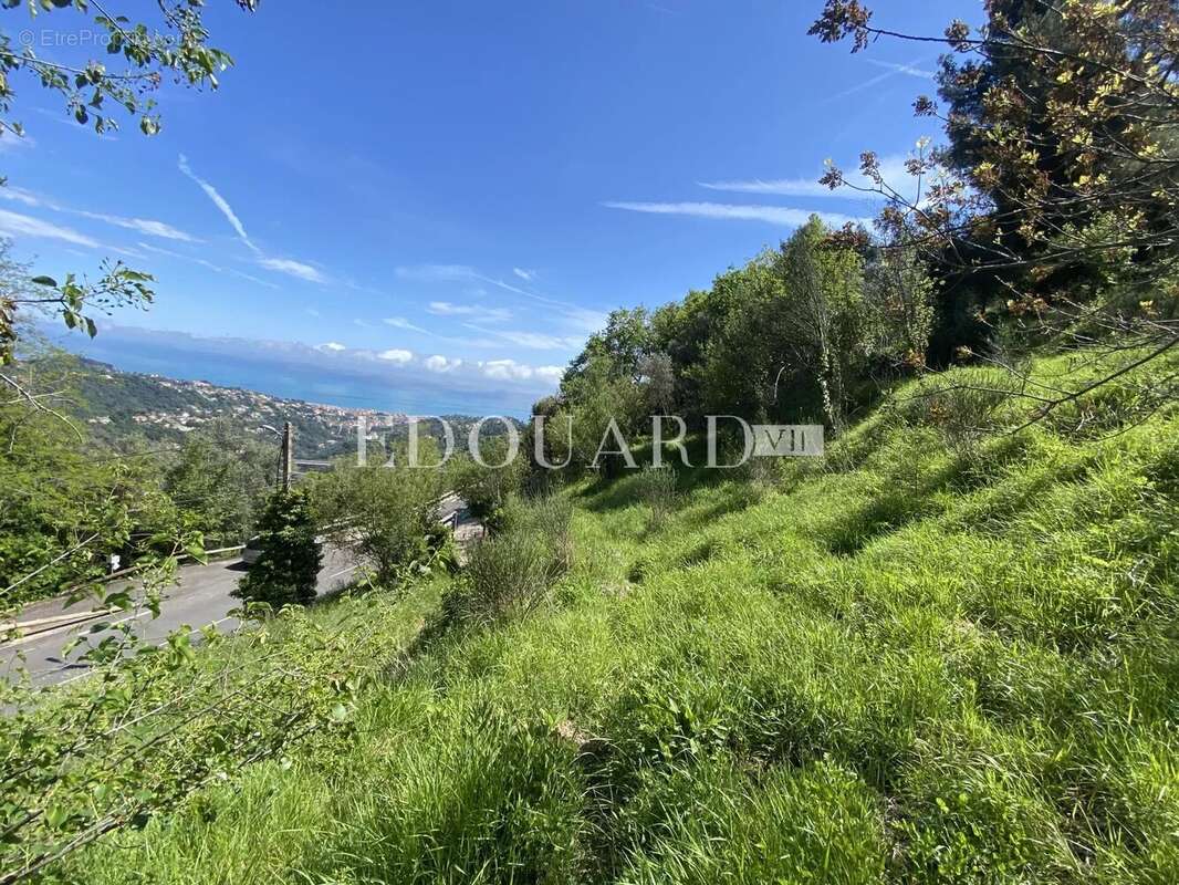 Terrain à SAINTE-AGNES