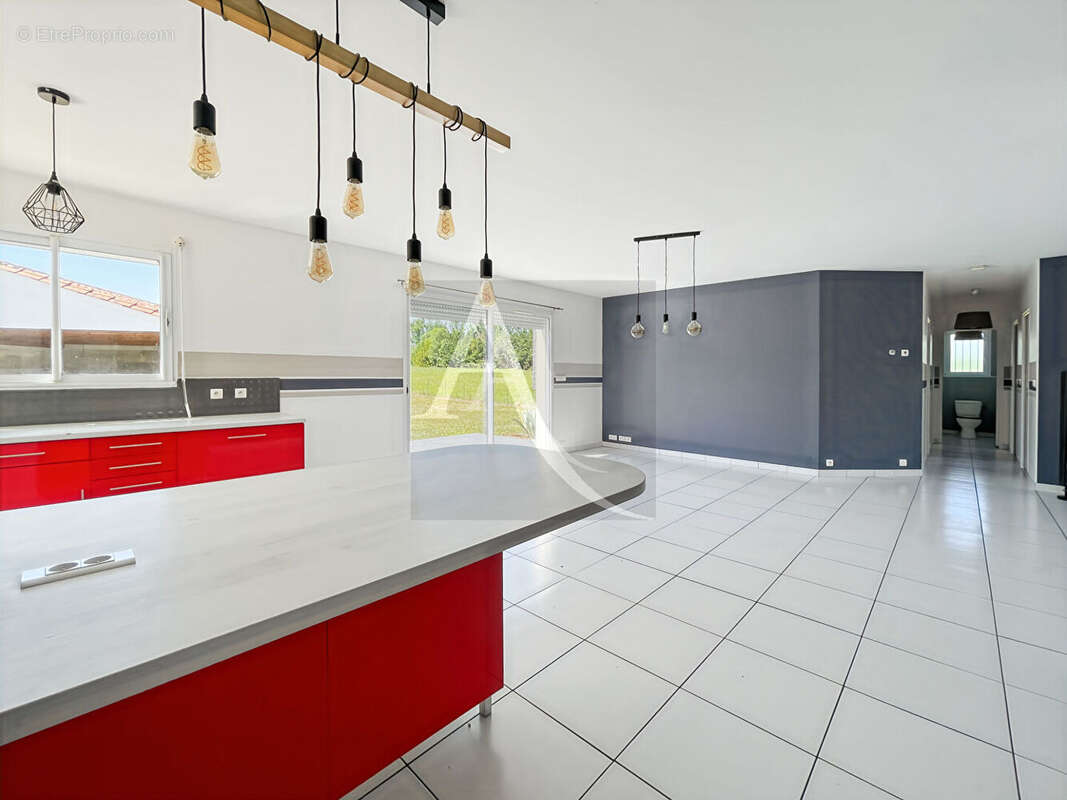 Maison à MONFLANQUIN